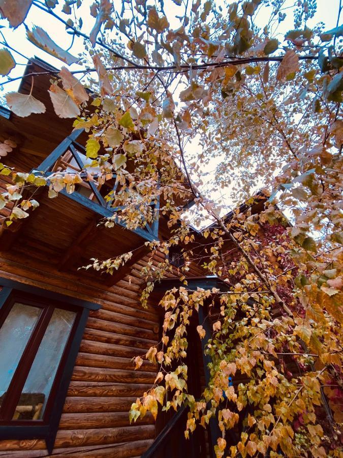 Boutigue Hotel Nebesa Chimgan Dış mekan fotoğraf